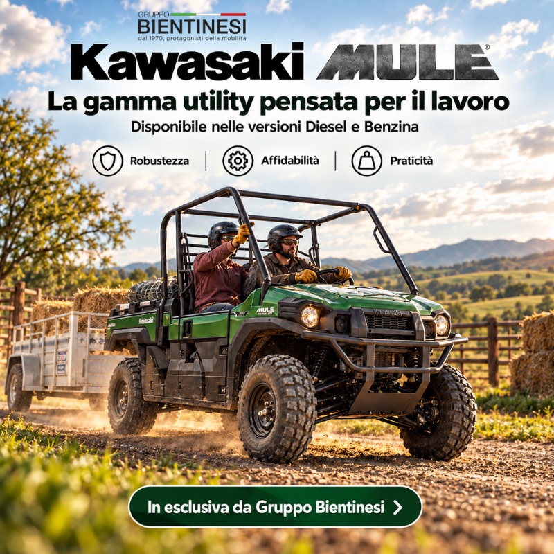 Gruppo bientinesi