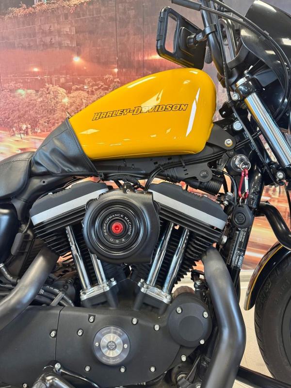 883 sportster XLHarley-davidson 883 Sportster XL