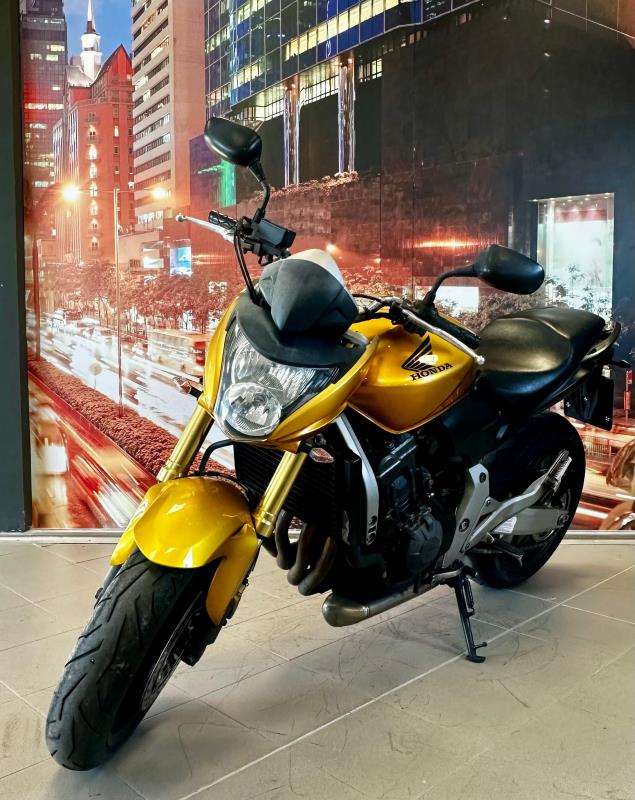 HORNETHonda Hornet 600 